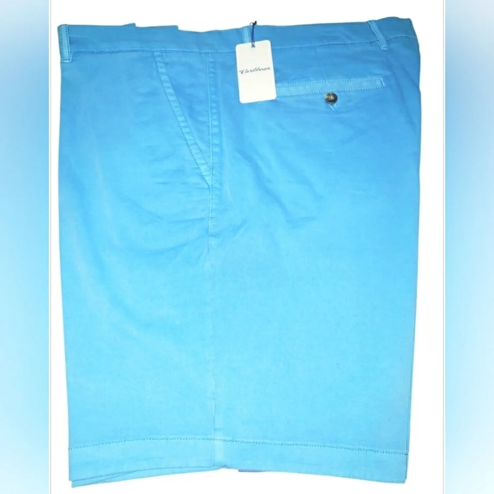 Preppy Resort Shorts 42 Blue Men Flat Front Travel Golf Cruise Modern New